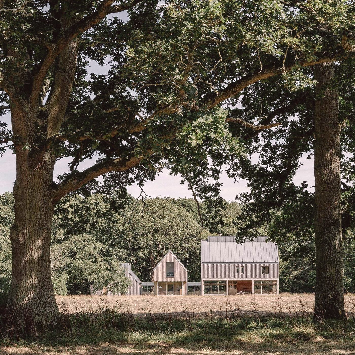 The Lodge seen from under the oaks